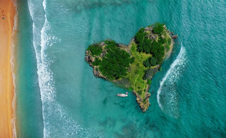 An Island in the World